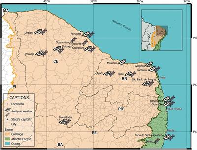 Evidence for morphological and genetic structuring of Plebeia flavocincta (Apidae: Meliponini) populations in Northeast Brazil
